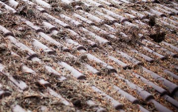 Mulben roof cleaning companies